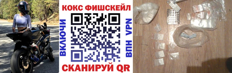 мега как войти  Заводоуковск  COCAIN 98%  купить закладку 