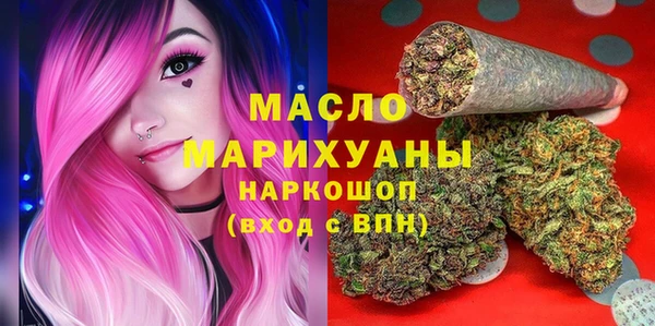 ECSTASY Алзамай