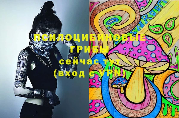 прущие крисы Абаза