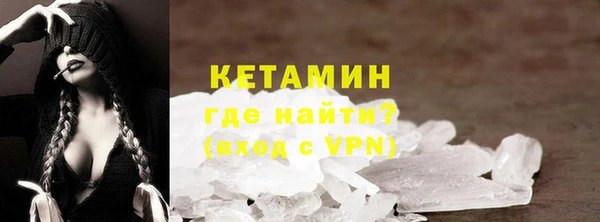 гашик Алексин
