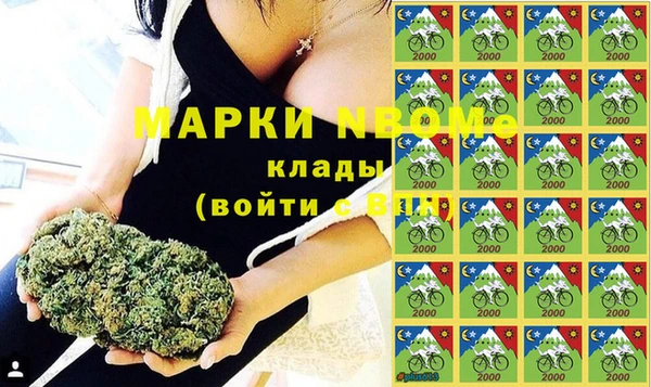 ECSTASY Алзамай