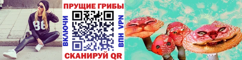 Псилоцибиновые грибы Psilocybe  Заводоуковск 